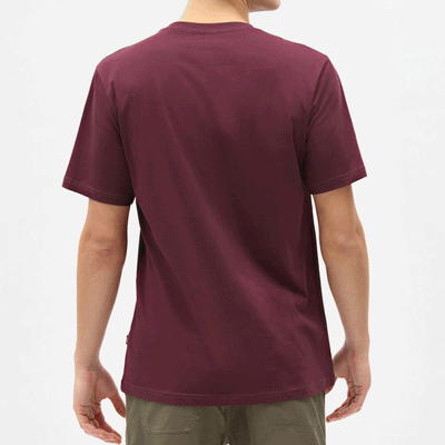 T-shirt a maniche corte Dickies - Mapleton Tee-Bordeaux