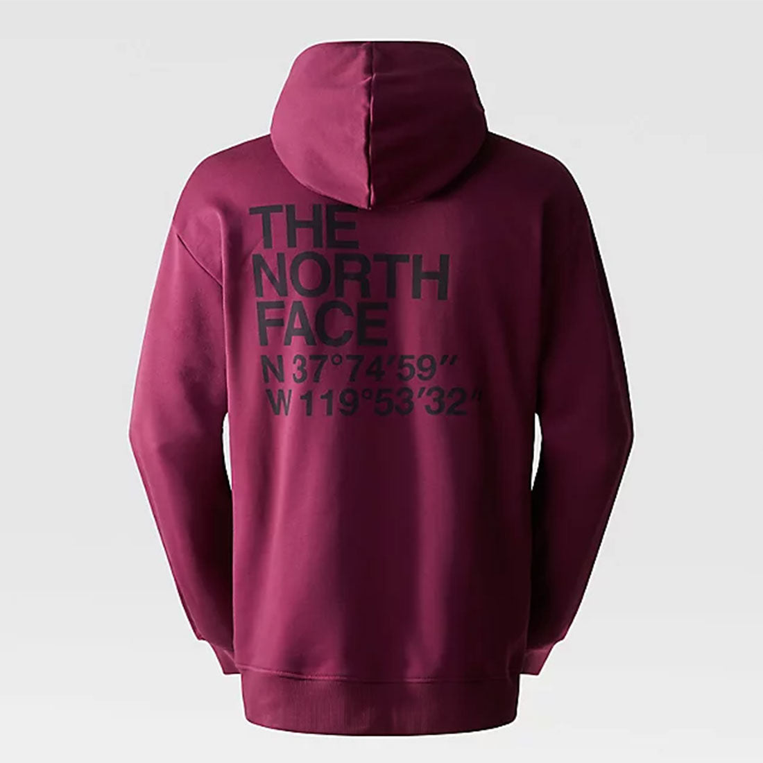 The North Face Hoodie - Coordinates Hoodie - Purple