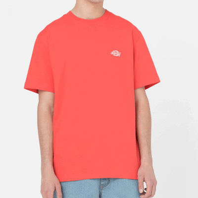 T-shirt a maniche corte Dickies - Summerdale Tee-Rosso