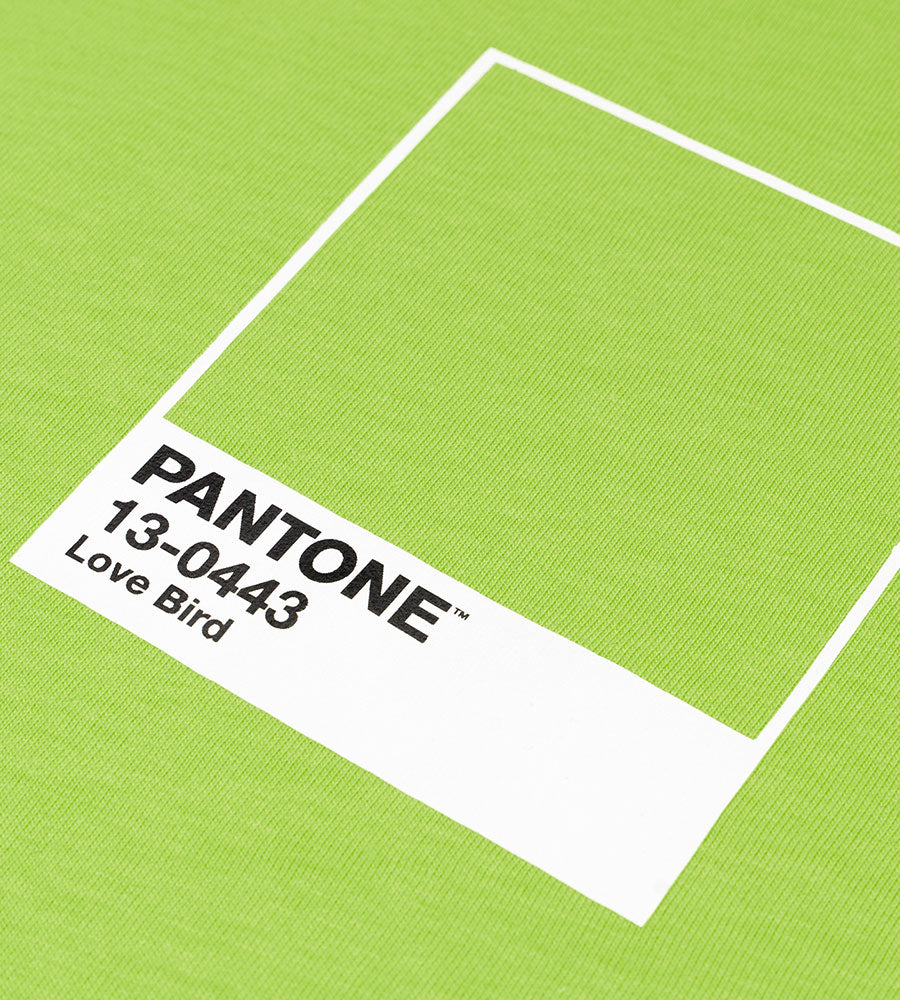 Pantone Love Bird-Giallo
