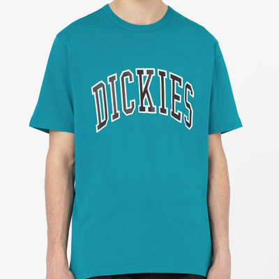 T-shirt a maniche corte Dickies - Aitkin Tee-Verde
