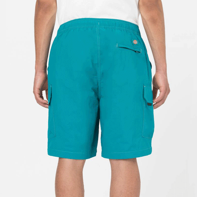 Pantaloncini Cargo Dickies - Jackson Shorts -Verde