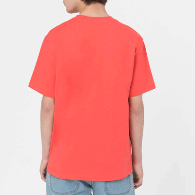 T-shirt a maniche corte Dickies - Summerdale Tee-Rosso