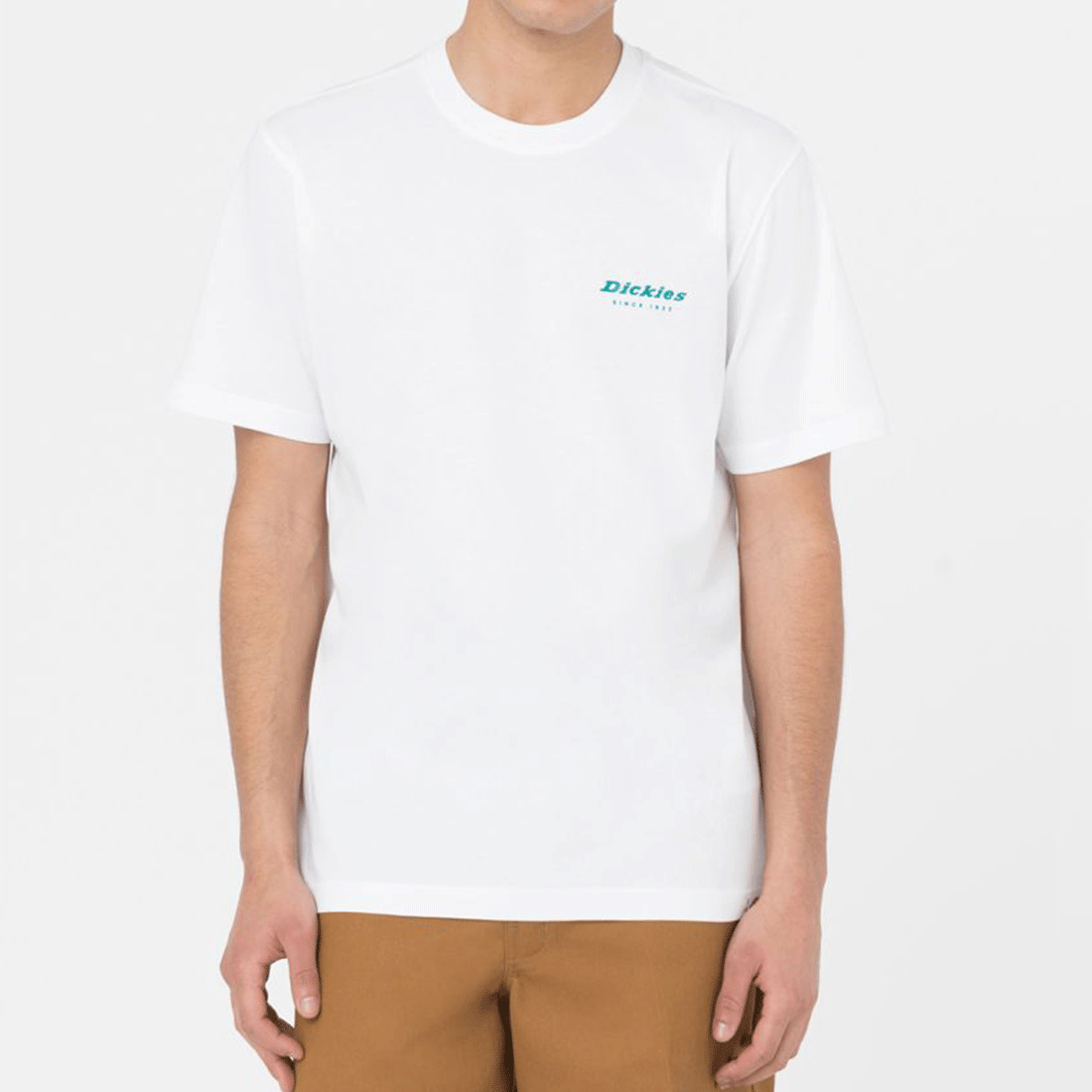 T-shirt a maniche corte Dickies - Leesburg Tee-Bianco